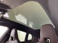 2024 BMW iX Mocha Interior Sunroof Photo