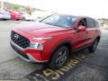 2023 Calypso Red Hyundai Santa Fe SE AWD  photo #4