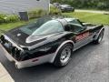 1978 Silver/Black Chevrolet Corvette Indianapolis 500 Pace Car  photo #10