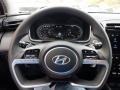 2024 Amazon Gray Hyundai Tucson Blue Hybrid AWD  photo #24