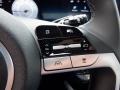 2024 Hyundai Elantra Light Gray Interior Steering Wheel Photo