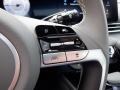 Gray Steering Wheel Photo for 2024 Hyundai Elantra #146661634