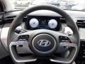 Gray Steering Wheel Photo for 2024 Hyundai Tucson #146661896