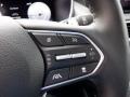 Gray Steering Wheel Photo for 2023 Hyundai Santa Fe #146663123
