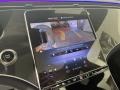 Cirrus Silver Metallic - EQS 450+ 4Matic SUV Photo No. 9