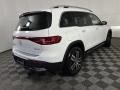 Polar White - EQB 300 4Matic Photo No. 23