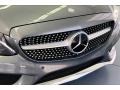 Selenite Grey Metallic - C 300 Cabriolet Photo No. 29