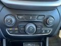Iceland - Black/Iceland Gray Controls Photo for 2014 Jeep Cherokee #146668808