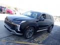 Abyss Black Pearl - Palisade Limited AWD Photo No. 6