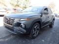 Portofino Gray - Tucson Limited AWD Photo No. 6