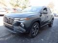 2024 Portofino Gray Hyundai Tucson Limited AWD  photo #6