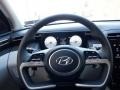 2024 Hyundai Tucson Gray Interior Steering Wheel Photo