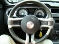 2010 Sterling Grey Metallic Ford Mustang V6 Premium Convertible  photo #17