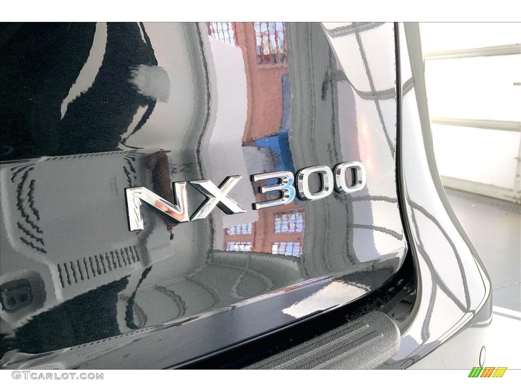 2020 Lexus NX 300 Marks and Logos Photo #146674946