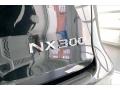  2020 NX 300 Logo