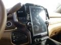 2024 Ram 2500 Light Mountain Brown/Mountain Brown Interior Controls Photo