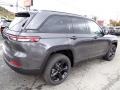 Baltic Gray Metallic - Grand Cherokee Altitude X 4x4 Photo No. 6