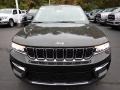 Rocky Mountain Pearl - Grand Cherokee 4XE Photo No. 9