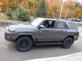 2019 Magnetic Gray Metallic Toyota 4Runner TRD Off-Road 4x4  photo #8