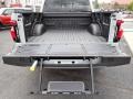 Black/Slate Gray Trunk Photo for 2023 Ford F150 #146694275