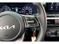 Black Steering Wheel Photo for 2023 Kia Forte #146697894