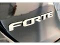  2023 Forte LXS Logo