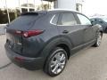 2024 Jet Black Mica Mazda CX-30 S Preferred AWD  photo #2