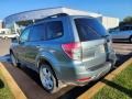 2010 Sage Green Metallic Subaru Forester 2.5 X Premium  photo #4