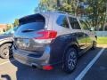 Magnetite Gray Metallic - Forester 2.5i Premium Photo No. 3