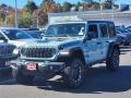 Earl 2024 Jeep Wrangler 4-Door Rubicon 4xe Hybrid