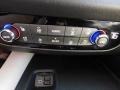 2021 Buick Enclave Shale w/Ebony Accents Interior Controls Photo