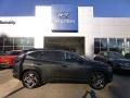 2024 Amazon Gray Hyundai Tucson SEL Convenience Hybrid AWD #146706311