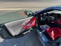 2023 Chevrolet Corvette Adrenaline Red Interior Door Panel Photo