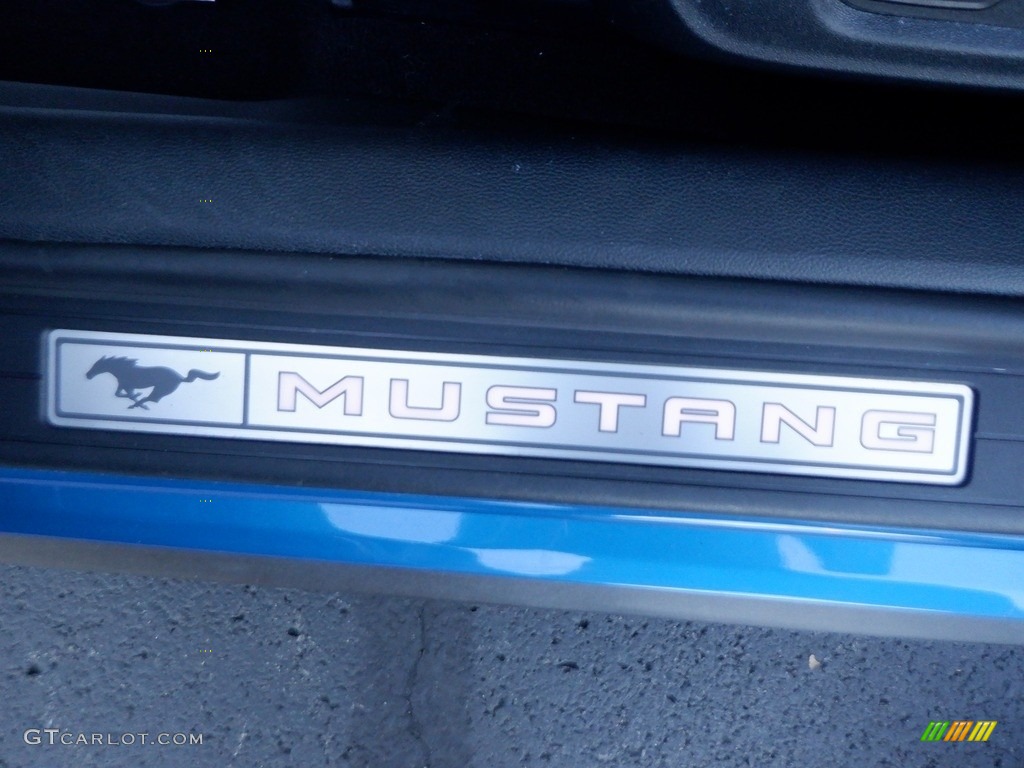 2021 Ford Mustang EcoBoost Premium Fastback Marks and Logos Photo #146710014