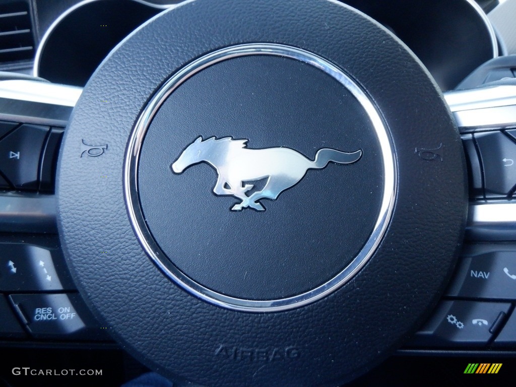 2021 Ford Mustang EcoBoost Premium Fastback Marks and Logos Photos