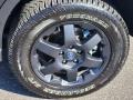 2024 Subaru Outback Wilderness Wheel and Tire Photo
