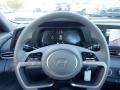 Gray Steering Wheel Photo for 2024 Hyundai Elantra #146715457