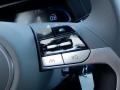 Gray Steering Wheel Photo for 2024 Hyundai Elantra #146715481