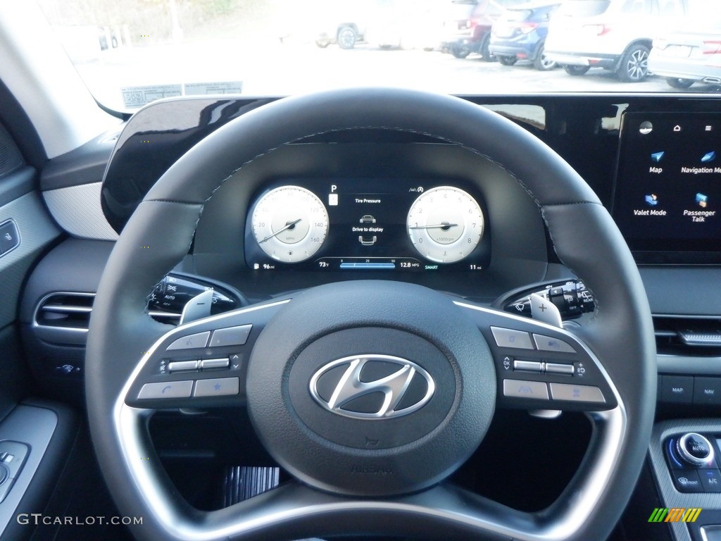 2024 Hyundai Palisade SEL AWD Black Steering Wheel Photo #146716075