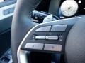 Black Steering Wheel Photo for 2024 Hyundai Palisade #146716108