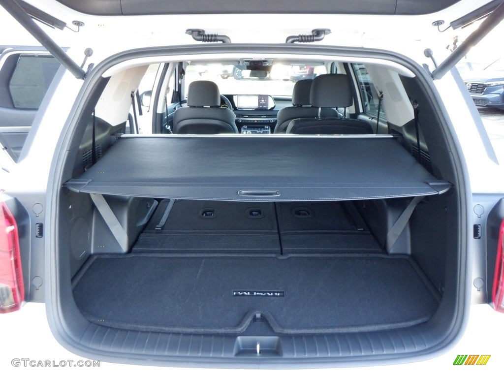 2024 Hyundai Palisade SEL AWD Trunk Photo #146716213