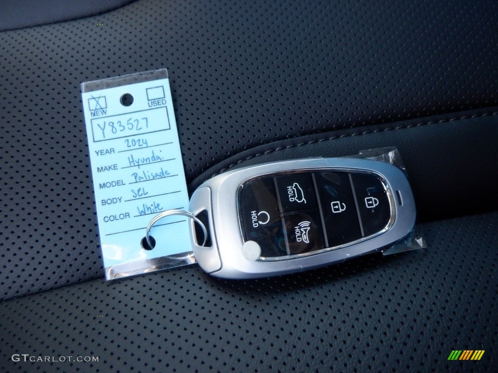 2024 Hyundai Palisade SEL AWD Keys Photo #146716274