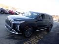 2024 Abyss Black Pearl Hyundai Palisade Calligraphy AWD  photo #4