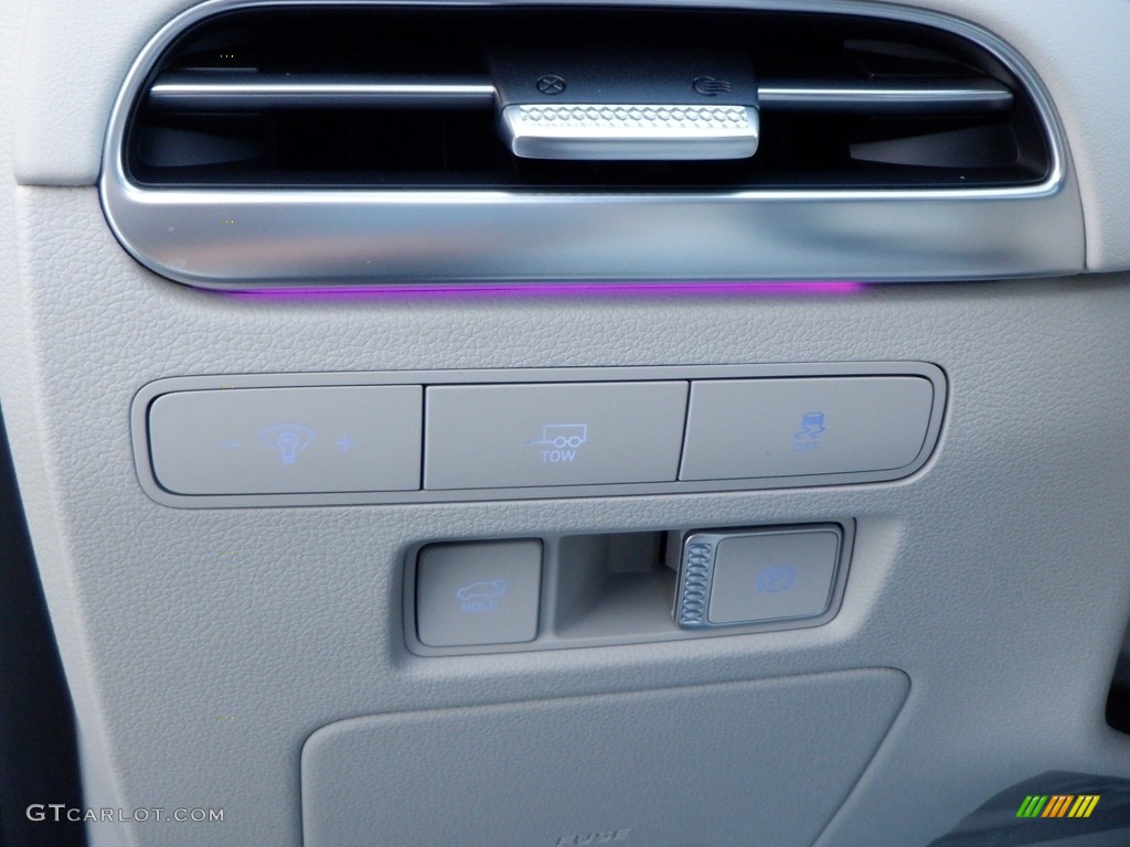 2024 Hyundai Palisade Calligraphy AWD Controls Photo #146716411