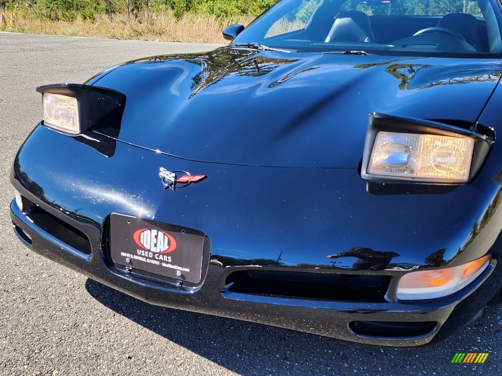 1999 Corvette Coupe - Black / Black photo #30