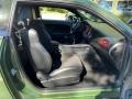 F8 Green - Challenger R/T Scat Pack Widebody Photo No. 18