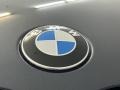 2022 BMW X7 xDrive40i Badge and Logo Photo
