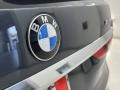 2022 Arctic Gray Metallic BMW X7 xDrive40i  photo #14