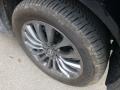 2023 Nissan Armada Platinum 4x4 Wheel and Tire Photo