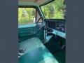 1977 Ford F150 Jade Green Interior Prime Interior Photo